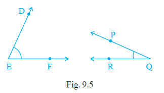 Page 135 Chapter 9 Class 6th NCERT Exemplar Page 135 Chapter 9 Class 6th NCERT Exemplar